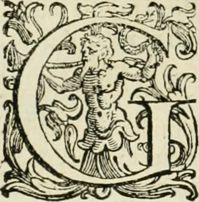 An illustration from L'idea della architettura vniversale, 1615, leaf 627