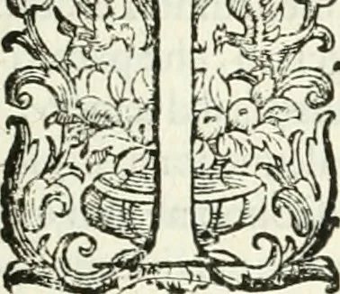 An illustration from L'idea della architettura vniversale, 1615, leaf 634