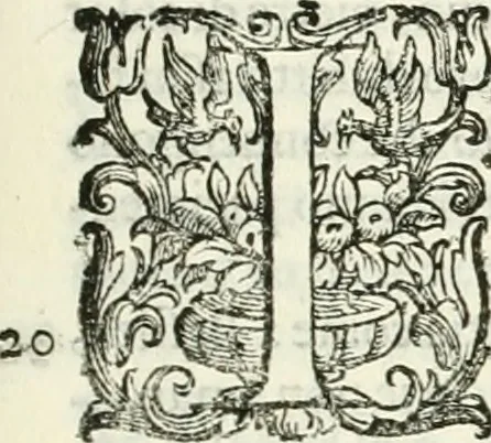An illustration from L'idea della architettura vniversale, 1615, leaf 646