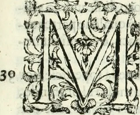An illustration from L'idea della architettura vniversale, 1615, leaf 648
