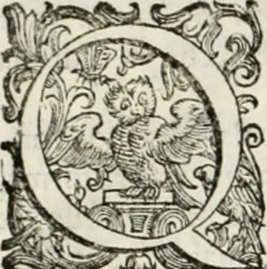 An illustration from L'idea della architettura vniversale, 1615, leaf 65