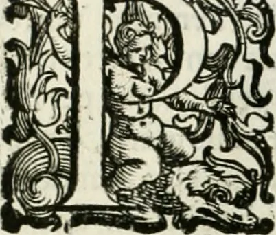 An illustration from L'idea della architettura vniversale, 1615, leaf 665
