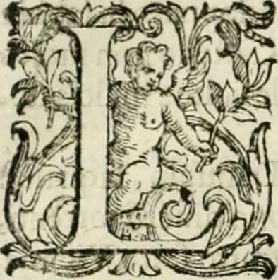 An illustration from L'idea della architettura vniversale, 1615, leaf 669