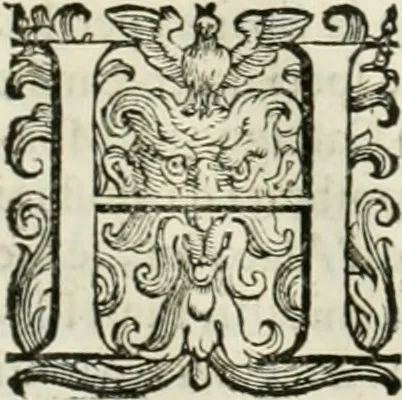 An illustration from L'idea della architettura vniversale, 1615, leaf 675