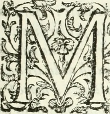 An illustration from L'idea della architettura vniversale, 1615, leaf 704