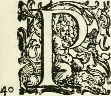 An illustration from L'idea della architettura vniversale, 1615, leaf 706