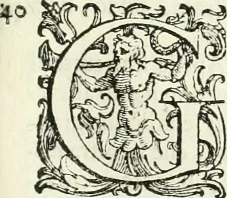 An illustration from L'idea della architettura vniversale, 1615, leaf 712
