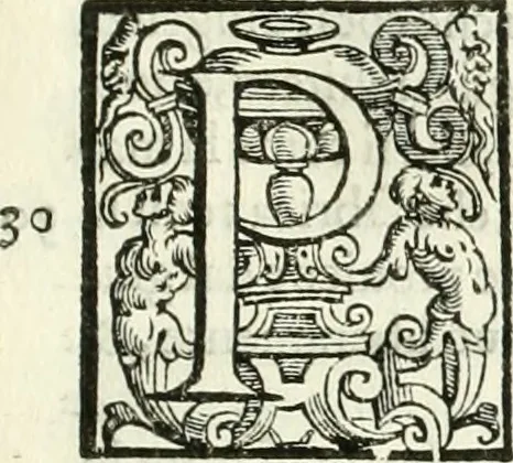 An illustration from L'idea della architettura vniversale, 1615, leaf 74