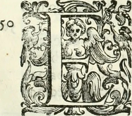 An illustration from L'idea della architettura vniversale, 1615, leaf 746