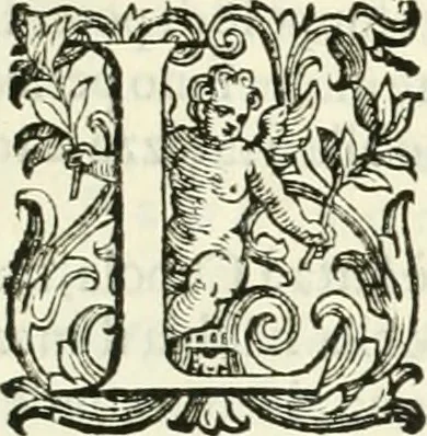 An illustration from L'idea della architettura vniversale, 1615, leaf 754