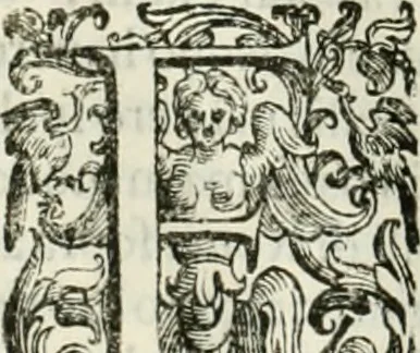An illustration from L'idea della architettura vniversale, 1615, leaf 765