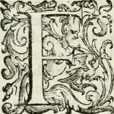 An illustration from L'idea della architettura vniversale, 1615, leaf 767