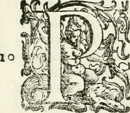 An illustration from L'idea della architettura vniversale, 1615, leaf 776