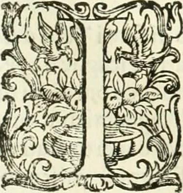 An illustration from L'idea della architettura vniversale, 1615, leaf 778