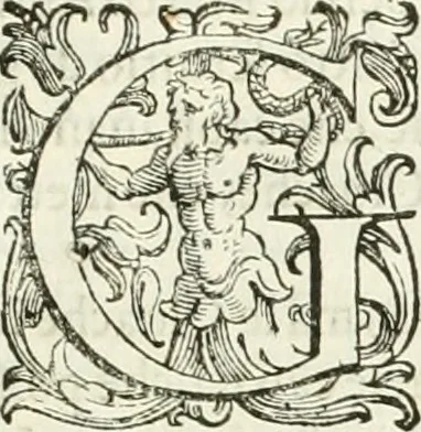 An illustration from L'idea della architettura vniversale, 1615, leaf 790