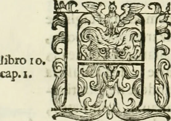 An illustration from L'idea della architettura vniversale, 1615, leaf 797