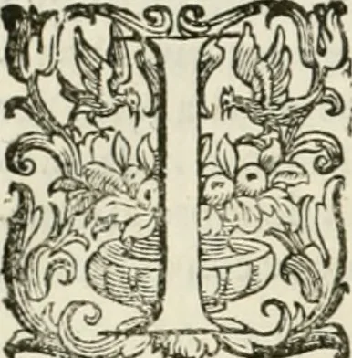 An illustration from L'idea della architettura vniversale, 1615, leaf 803