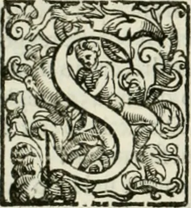 An illustration from L'idea della architettura vniversale, 1615, leaf 83