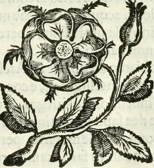 An illustration from L'idea della architettura vniversale, 1615, leaf 86