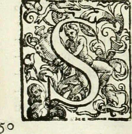 An illustration from L'idea della architettura vniversale, 1615, leaf 96