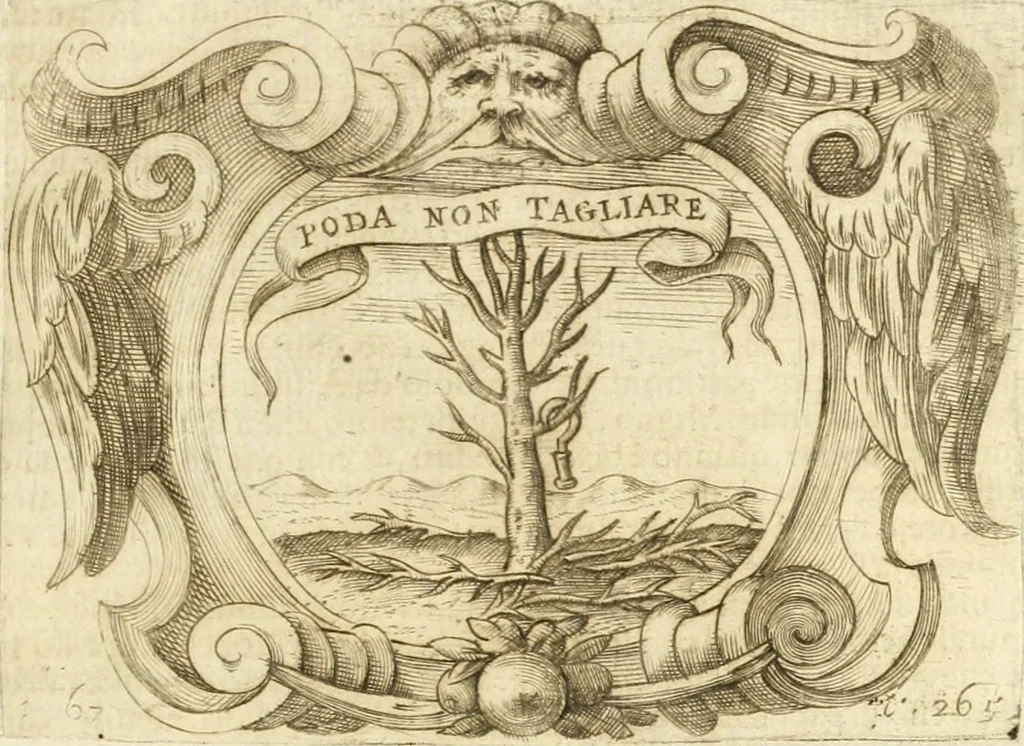 An illustration from L'idea di vn prencipe politico christiano, 1648, leaf 288
