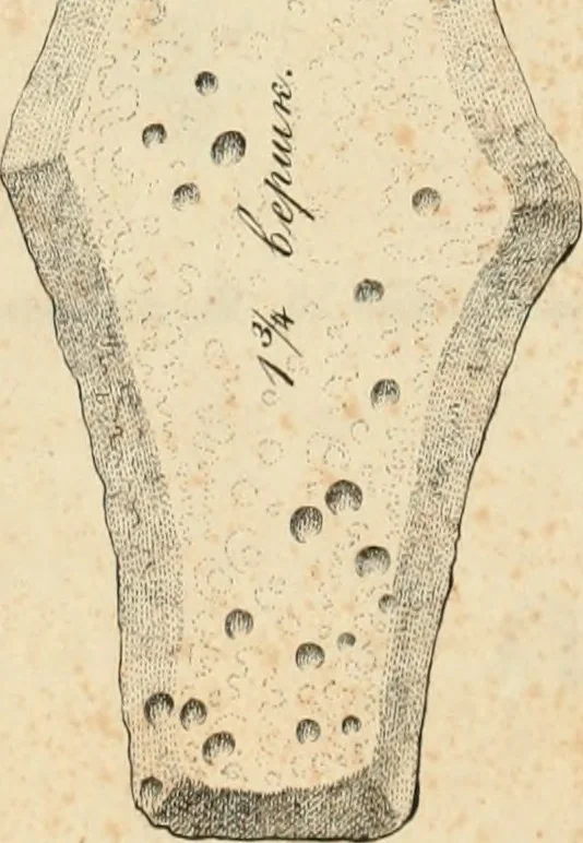 An illustration from Lietopis russk numizmatiki, 1842, leaf 82