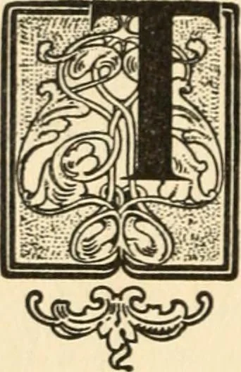 An illustration from Life and Action: The Great Work in America (Bound Vol. 1) (1910), 1910, leaf 207