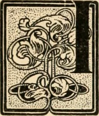 An illustration from Life and Action: The Great Work in America (Bound Vol. 2) (1911), 1911, leaf 32