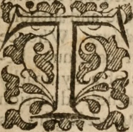 An illustration from The life and death of Dr. Martin Lvther; the passages whereof haue bin taken out of his owne and other Godly and most learned, mens writings, who liued in his time, 1641, leaf 24