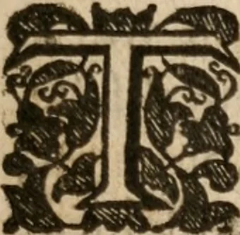 An illustration from The life and death of Dr. Martin Lvther; the passages whereof haue bin taken out of his owne and other Godly and most learned, mens writings, who liued in his time, 1641, leaf 8