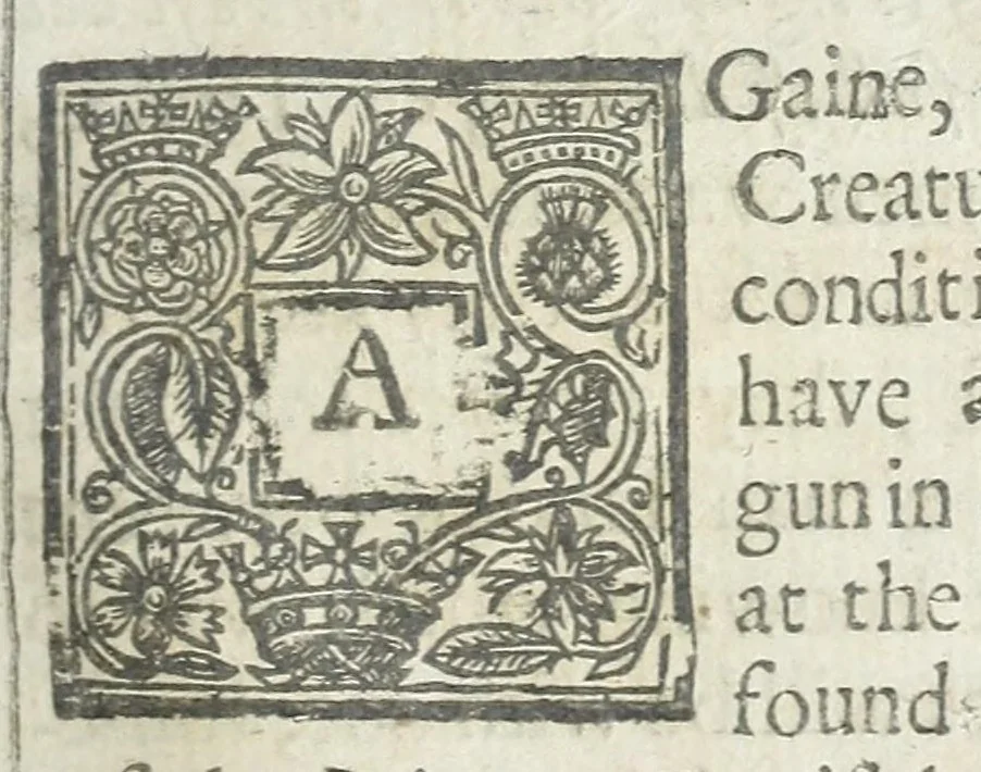 An illustration from Life eternall or, A treatise of the knowledge of the divine essence and attributes. Delivered in xviii. sermons, 1634, leaf 881