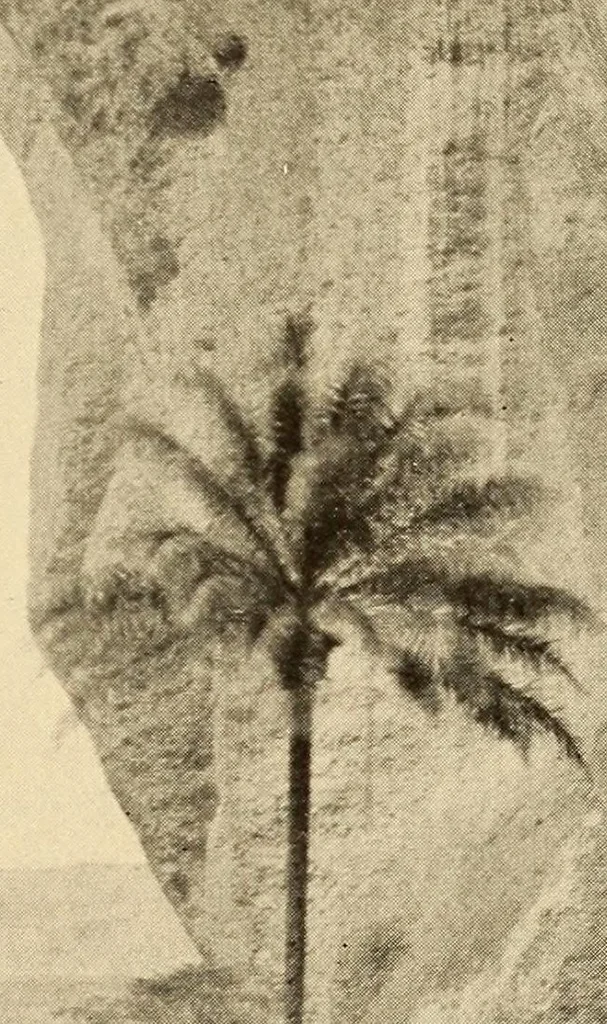 An illustration from The life & explorations of Frederick Stanley Arnot : the authorised biography of a zealous missionary, intrepid explorer, & self-denying benefactor amongst the natives of Africa, 1921, leaf 103