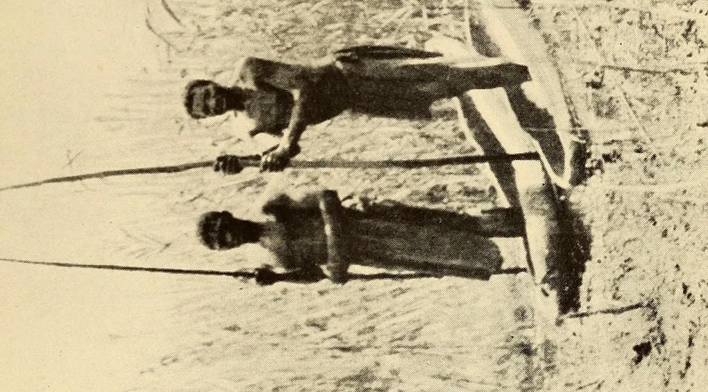 An illustration from The life & explorations of Frederick Stanley Arnot : the authorised biography of a zealous missionary, intrepid explorer, & self-denying benefactor amongst the natives of Africa, 1921, leaf 155