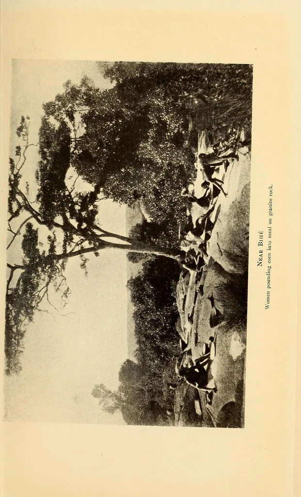 An illustration from The life & explorations of Frederick Stanley Arnot : the authorised biography of a zealous missionary, intrepid explorer, & self-denying benefactor amongst the natives of Africa, 1921, leaf 223