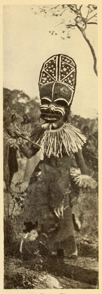 An illustration from The life & explorations of Frederick Stanley Arnot : the authorised biography of a zealous missionary, intrepid explorer, & self-denying benefactor amongst the natives of Africa, 1921, leaf 305