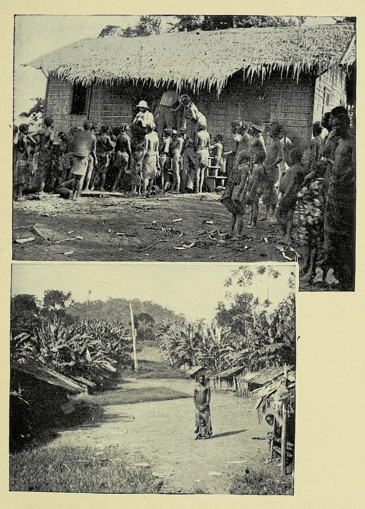 An illustration from A life for Africa; Rev. Adolphus Clemens Good, American missionary in equatorial West Africa, 1900, leaf 261