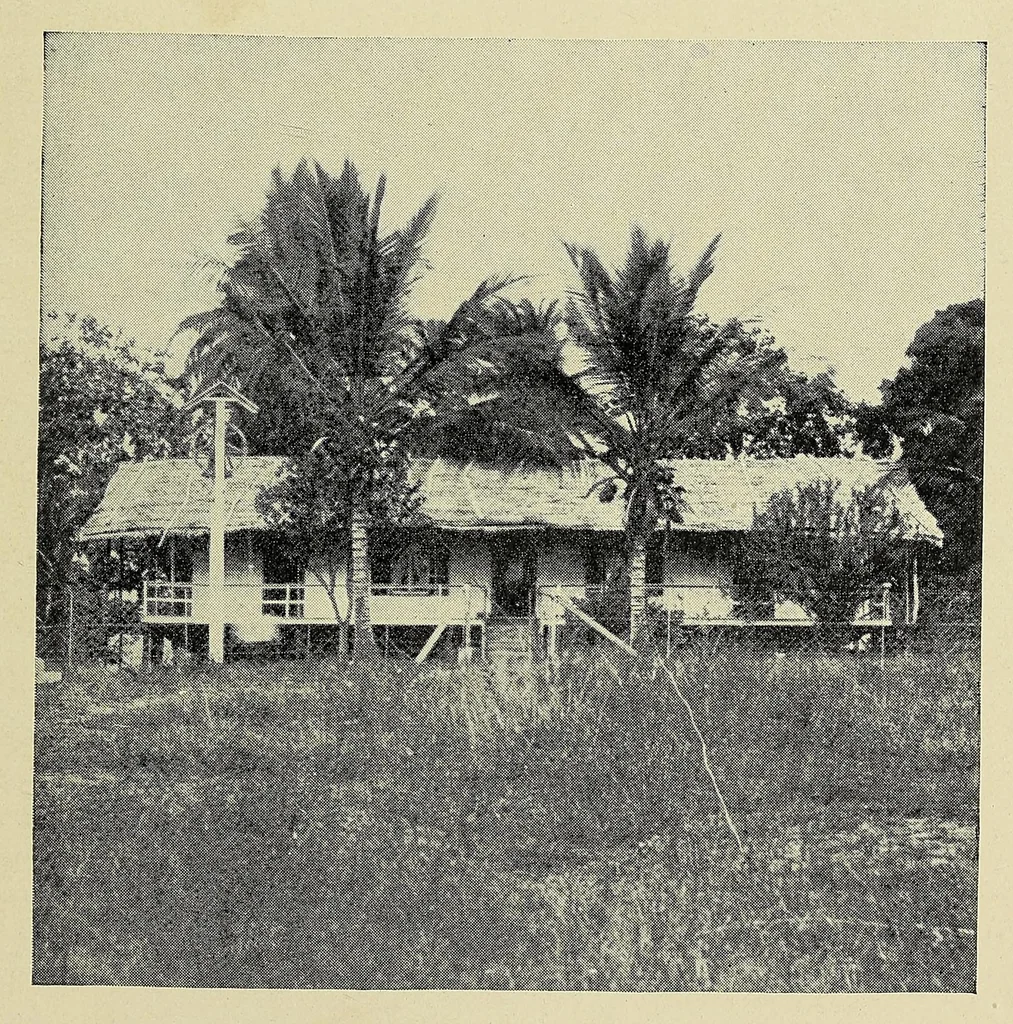 An illustration from A life for Africa; Rev. Adolphus Clemens Good, American missionary in equatorial West Africa, 1900, leaf 45