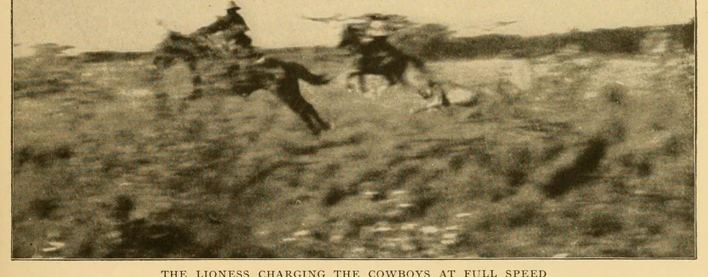 An illustration from Life-histories of African game animals, 1914, leaf 259