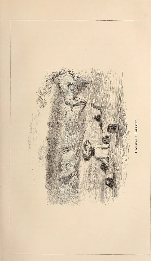 An illustration from Life in Abyssinia: being notes collected during three years' residence and travels in that country, 1853, leaf 359