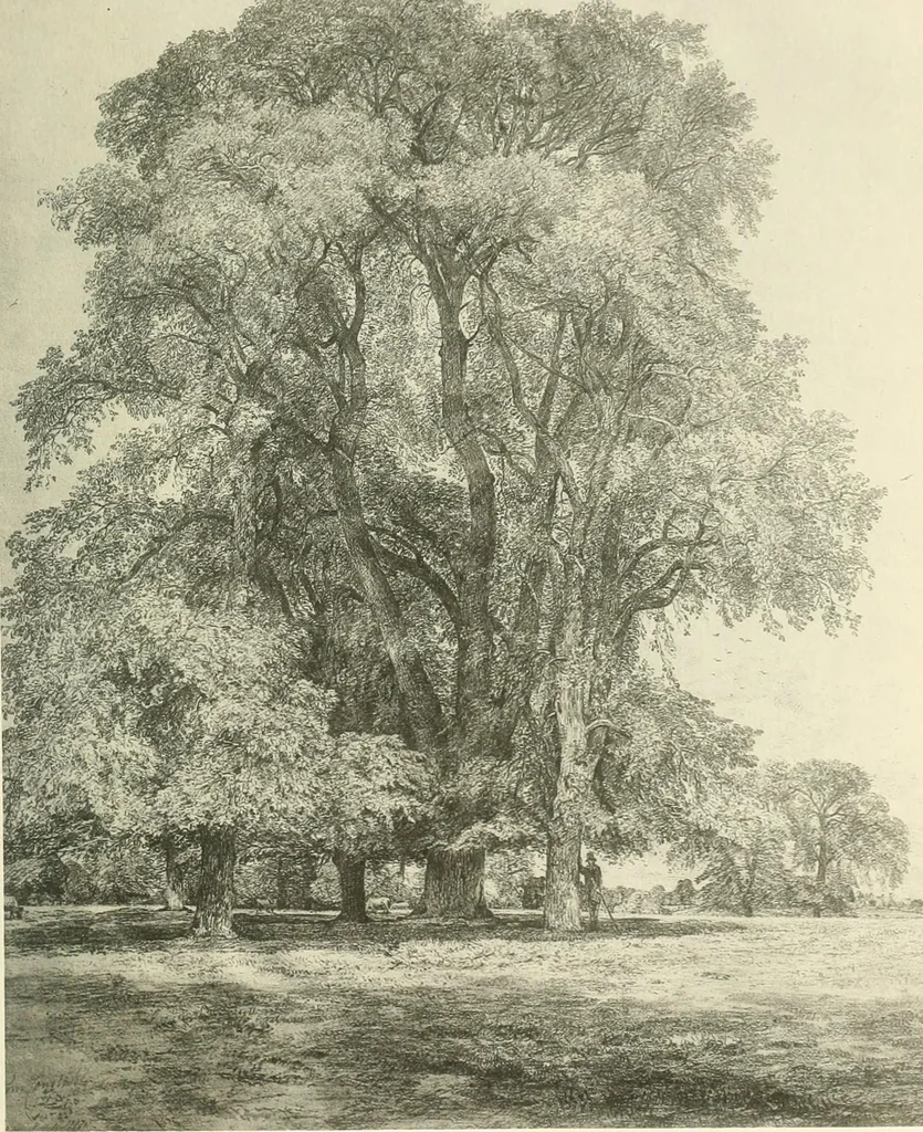An illustration from Life and letters of John Constable, R. A, 1896, leaf 382