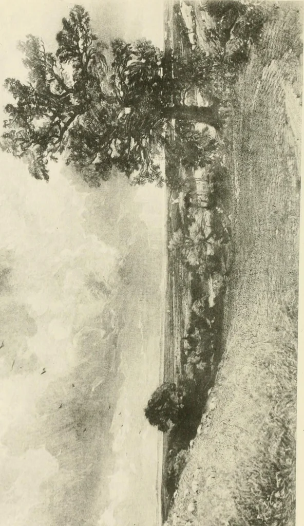 An illustration from Life and letters of John Constable, R. A, 1896, leaf 403
