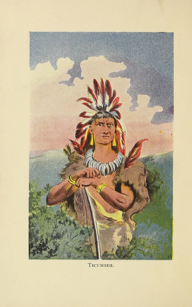 An illustration from The life of Colonel David Crockett : comprising his adventures as backwoodsman and and hunter ; his services as soldier and scout in the Creek War ; his electioneering canvasses ; his career as congressman ; his tour through the northern states ; and his services and death in the Texas war of independence, 1884, leaf 6