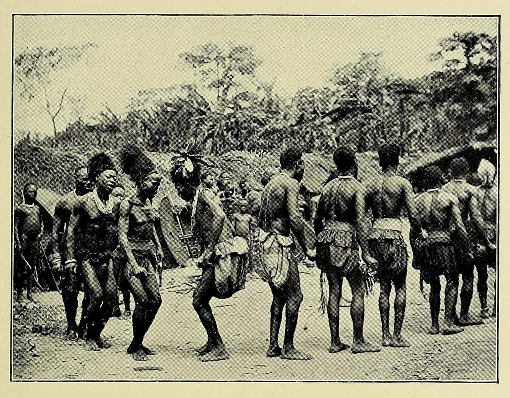 An illustration from The life of George Grenfell : Congo missionary and explorer, 1909, leaf 197