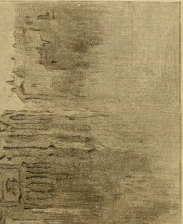 An illustration from The life of J.M.W. Turner, R.A., 1879, leaf 302
