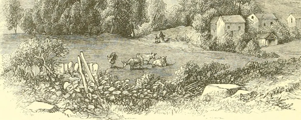 An illustration from The life of Josiah Wedgwood, from his private correspondence and family papers ... with an introductory sketch of the art of pottery in England, 1865, leaf 143