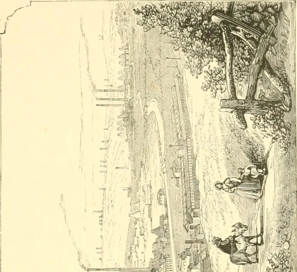An illustration from The life of Josiah Wedgwood, from his private correspondence and family papers ... with an introductory sketch of the art of pottery in England, 1865, leaf 224
