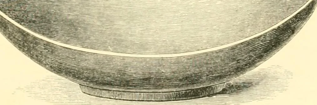 An illustration from The life of Josiah Wedgwood, from his private correspondence and family papers ... with an introductory sketch of the art of pottery in England, 1865, leaf 420