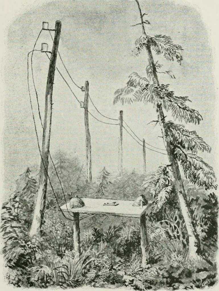 An illustration from The life story of the late Sir Charles Tilston Bright, civil engineer; with which is incorporated the story of the Atlantic cable, and the first telegraph to India and the colonies, 1899, leaf 132