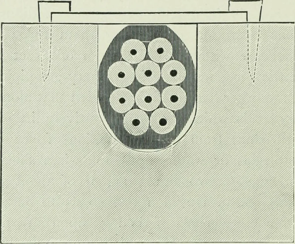 An illustration from The life story of the late Sir Charles Tilston Bright, civil engineer; with which is incorporated the story of the Atlantic cable, and the first telegraph to India and the colonies, 1899, leaf 81