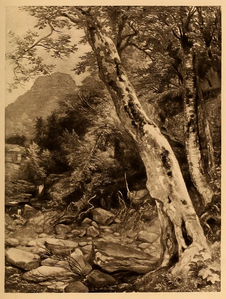 An illustration from The life and times of A.B. Durand, 1894, leaf 253